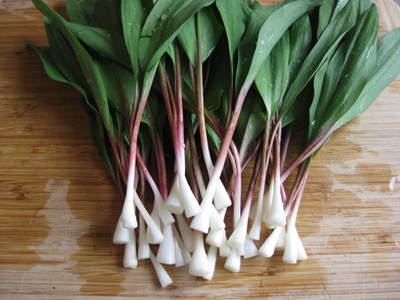 ramps-clean-400px