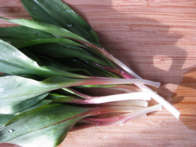 ramps-shadow
